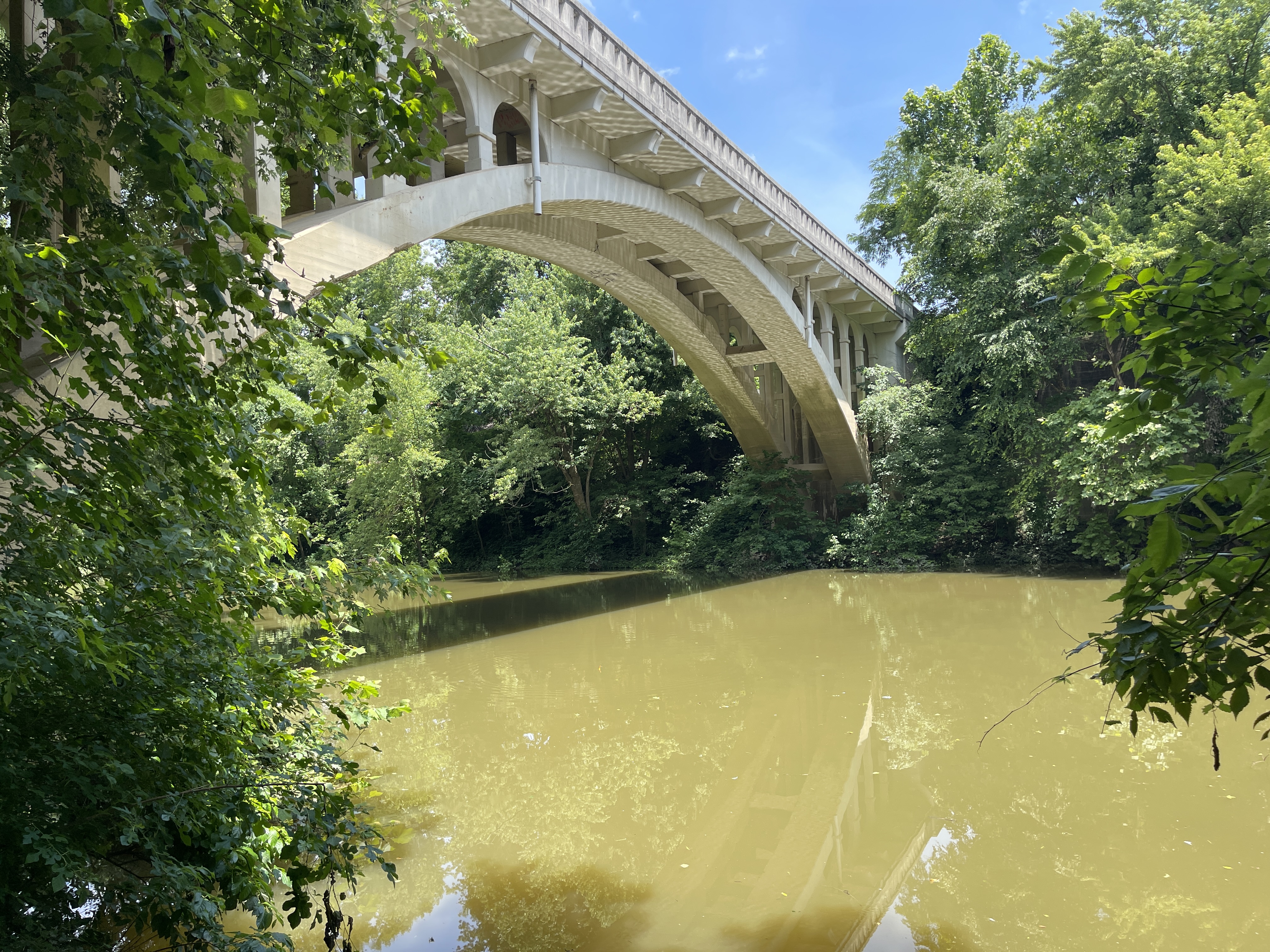 Controversy over Silver Creek Continues as Mayor Stands Apart